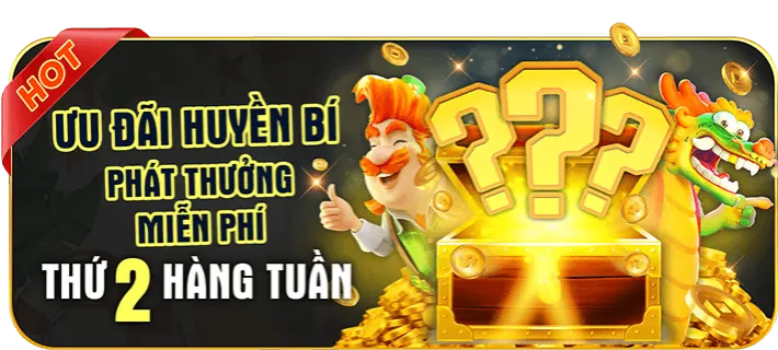 Giấy phép hoạt động
